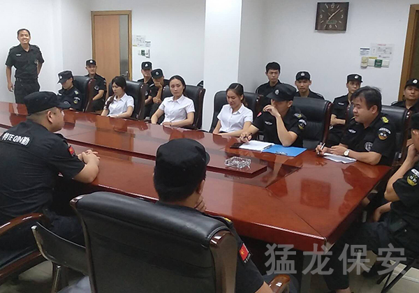 专业91视频免费下载