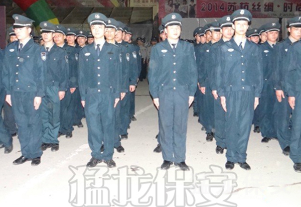 91视频激情服务