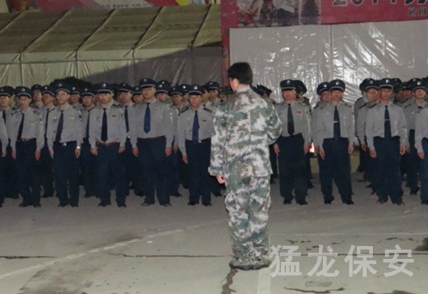 活动91视频激情
