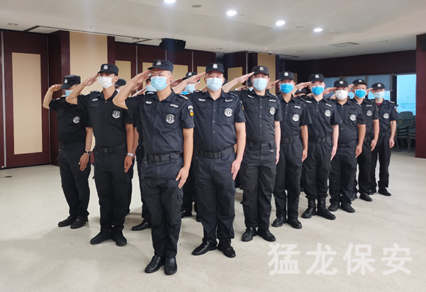 91视频免费下载