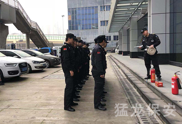 91视频免费下载