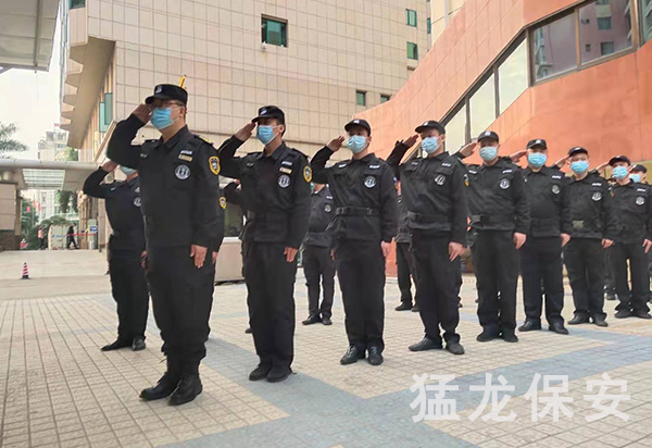 免费91视频下载服务报价